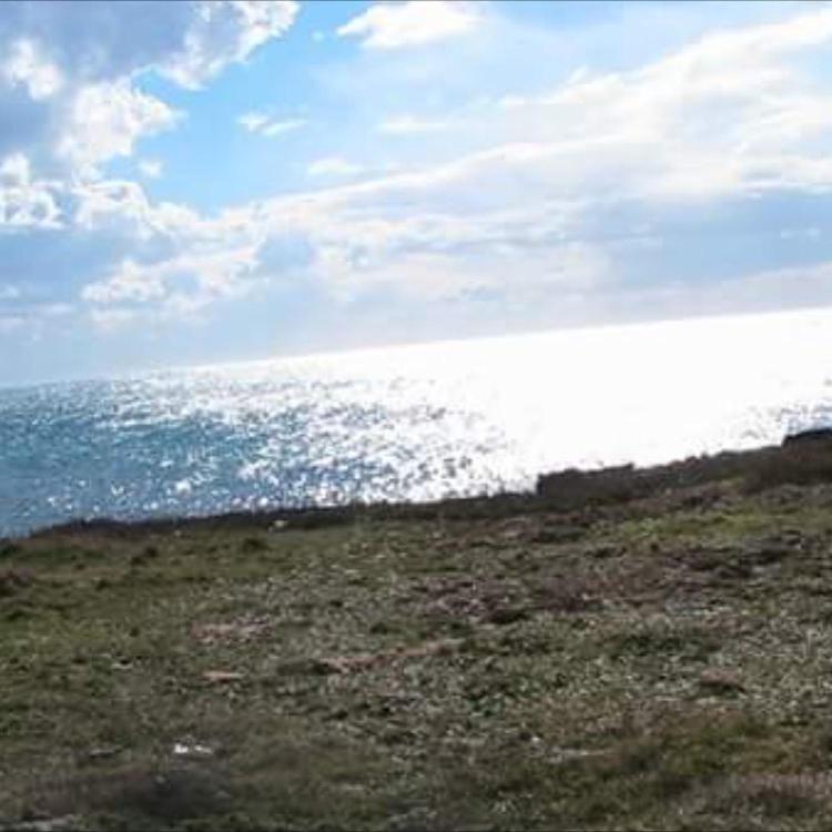 Donna Concetta Casa Vacanze Felline Bagian luar foto